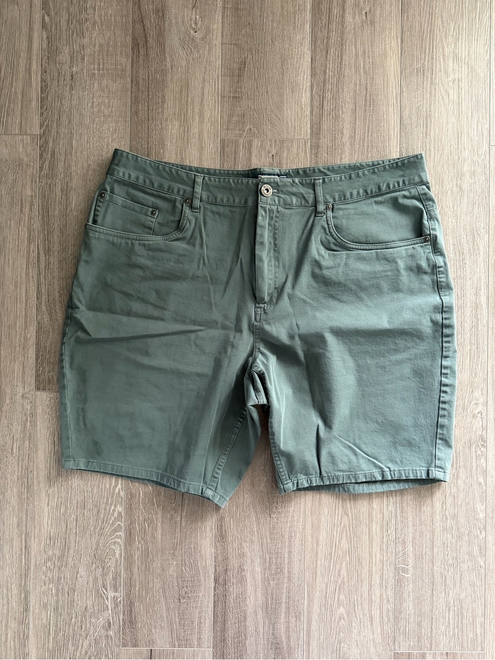 Rye by Hawker Rye Casual Green Cotton Shorts